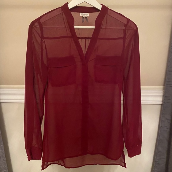 DYNAMITE Sheer Button-up Blouse - Picture 2 of 3
